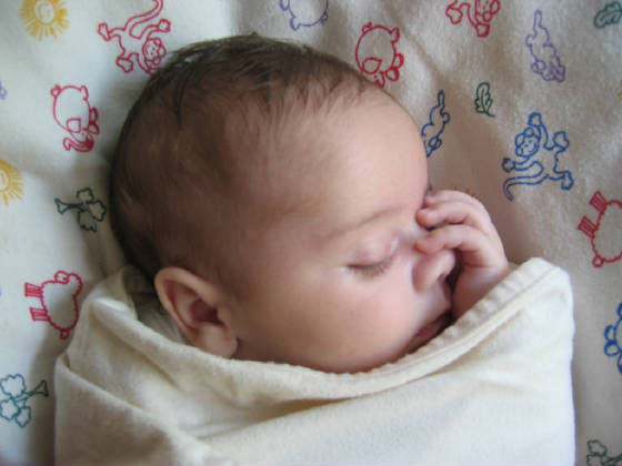 snoozer.jpg
